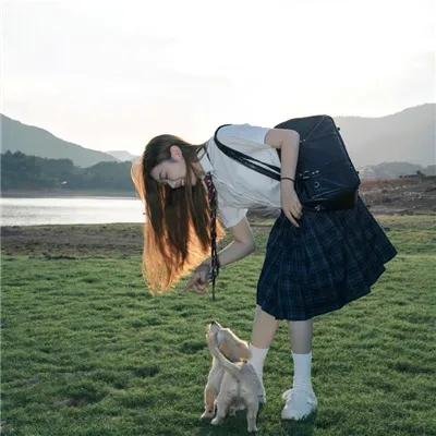杂家高手