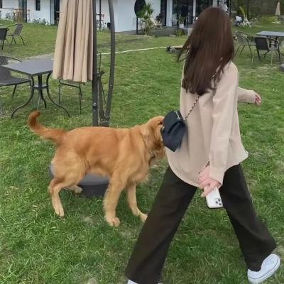 龙纹身的女鬼入镜